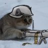 ひるぱん's profile picture