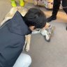 邗邗's profile picture
