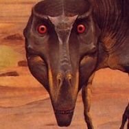 realmedicbag's profile picture