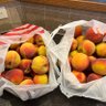 Фото профиля Peach
