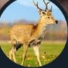 PATRIOTIC's profile picture