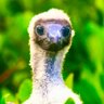 🛸SrPetareu🇳🇿II*II🌻🇩🇰 profil fotoğrafı
