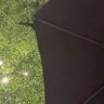 Фото профиля wisa’r
