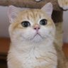 Profilbild von jetdo krub