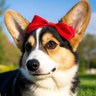 Фото профиля MOGK DOG
