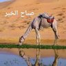 أبو عبدالرحمن 的头像