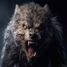Фото профиля 🌕alpha werewolf🌕