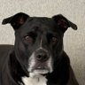 Profilbild von JackClumpus