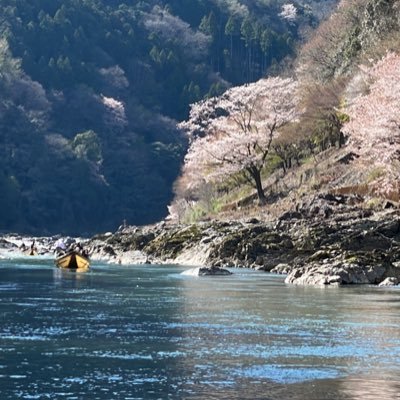 hozugawakudari's profile picture