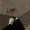 Profilbild von اوتار 𓄃