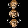 IRollBarz🤖's profile picture