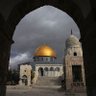 Фото профиля صالح الضبياني