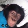 Mehmetsabahkalkmazaksamyatmazoglu's profile picture
