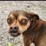 issac deznutts's profile picture