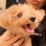 よんたん profil fotoğrafı