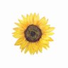 سانا🌻's profile picture