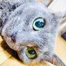 kei🍊 profil fotoğrafı