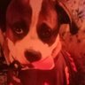 Profilbild von Casey