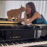 Kanae🎹🐈's profile picture