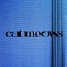 Фото профиля cat meows