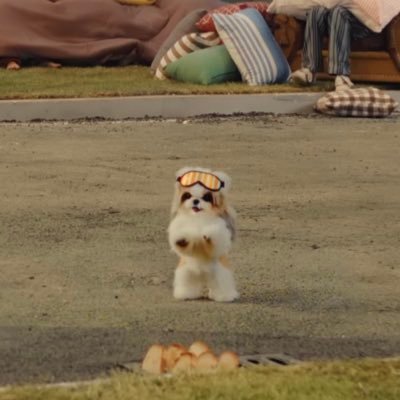 jimini_rani's profile picture
