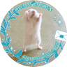 あやち🐹🍤🍮🩵 的头像