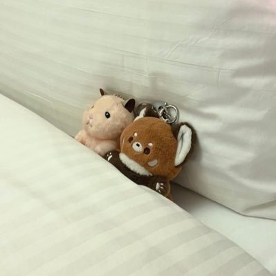 캔들🕯️☘️'s profile picture
