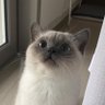 Profilbild von 햇빛