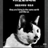 Meow Guardian's profile picture