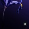 bazalee's profile picture