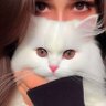 M01069's profile picture