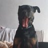 Profilbild von Little Faith
