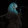 ⸆⸉ lexa ོ 的头像