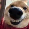 TB profil fotoğrafı