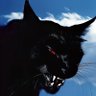 канэет's profile picture