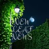 Profilbild von New Leaf News