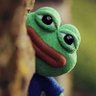 🐸's profile picture