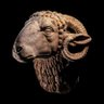 Git' de gater's profile picture