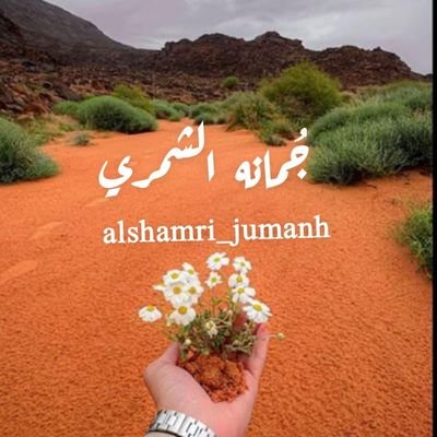 alshamri_jumanh's profile picture