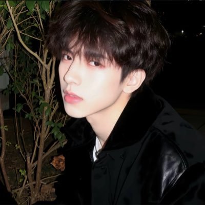 lingyiyang04's profile picture