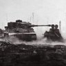 Tiger1H88mmkwk🇺🇦🇩🇪's profile picture