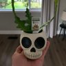 T de taco profil fotoğrafı