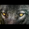 Profilbild von Chrissy S