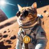 OrangeCat.btc⚡️'s profile picture