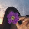 Mary's profile picture