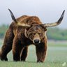 Фото профиля GrizzlyBull