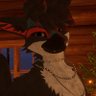 🔞ShironFox's profile picture