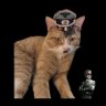 kitler and frens profil fotoğrafı