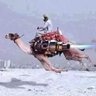 الوعي النابض profil fotoğrafı