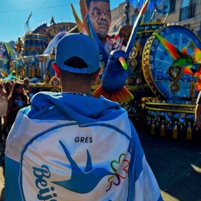 passarinha marajoara 🌬️🍃's profile picture